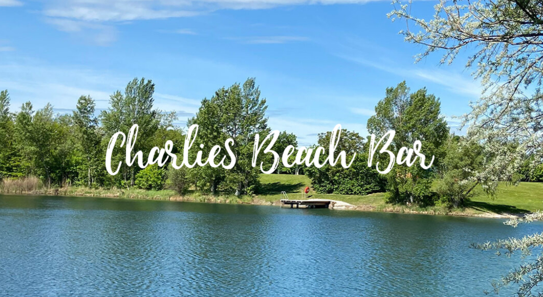 Beach Bar am Badeteich Laxenburg